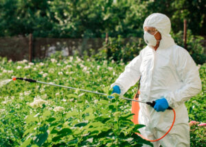 fumigación de jardines