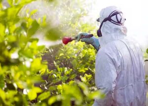 fumigación ecológica