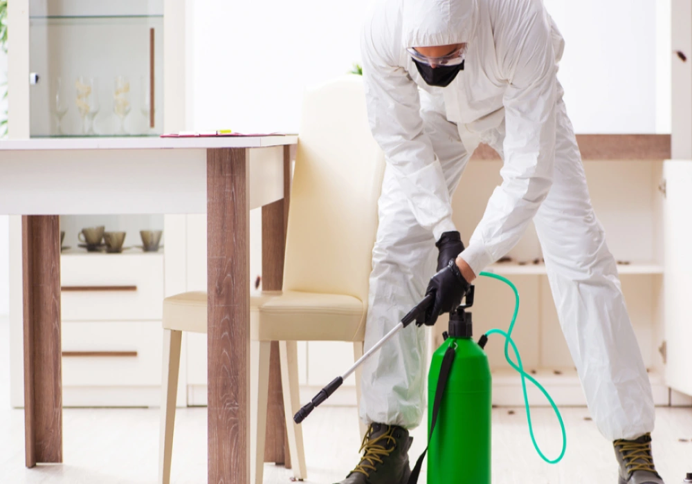servicio de fumigación de casas
