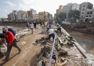 fumigación de casas