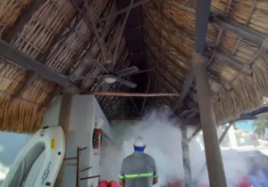 fumigando casa de playa