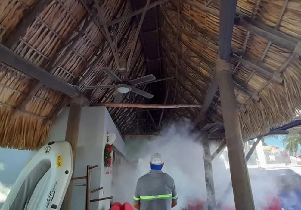 fumigando casa de playa
