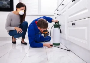 Intervención técnica para erradicar infestaciones ocultas