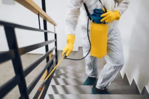 Cómo elegir la mejor técnica en fumigación de casas en Lima
