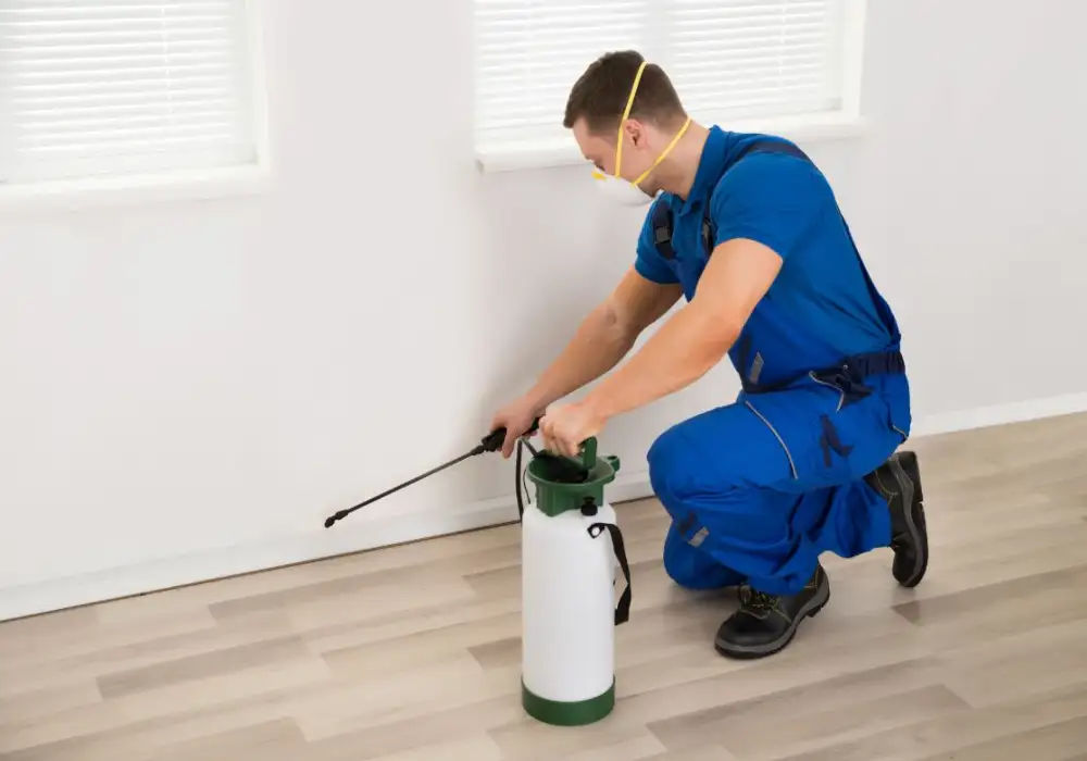 Cómo prevenir ácaros con fumigación de casas efectiva