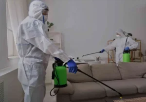 Aspectos que garantizan una fumigación profesional y segura